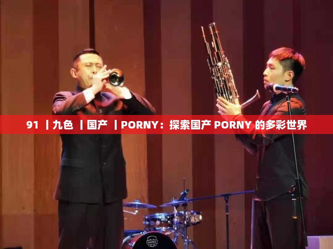 91 丨九色 丨國(guó)產(chǎn) 丨PORNY：探索國(guó)產(chǎn) PORNY 的多彩世界