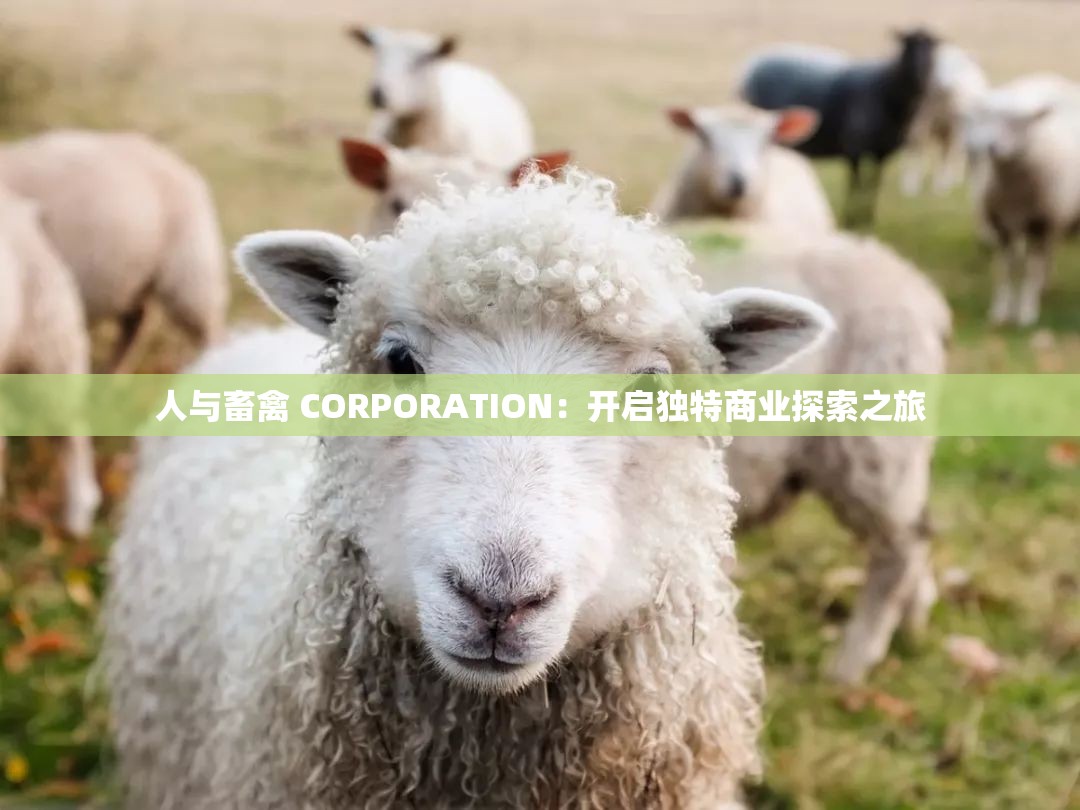 人與畜禽 CORPORATION：開啟獨(dú)特商業(yè)探索之旅