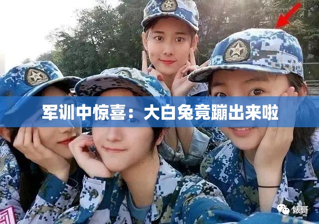 軍訓(xùn)中驚喜：大白兔竟蹦出來(lái)啦