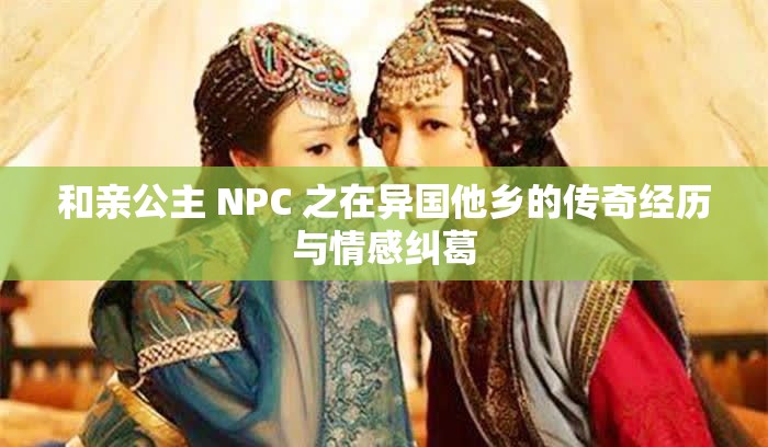 和親公主 NPC 之在異國他鄉(xiāng)的傳奇經歷與情感糾葛