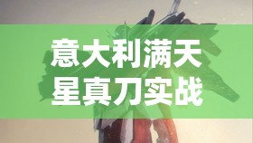 意大利滿天星真刀實戰(zhàn)：精彩絕倫的格斗對決