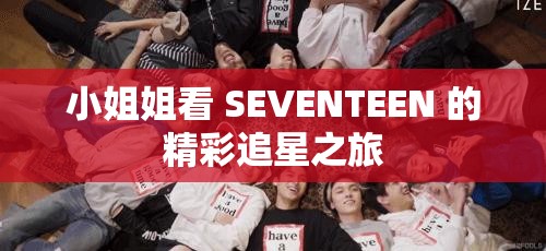 小姐姐看 SEVENTEEN 的精彩追星之旅