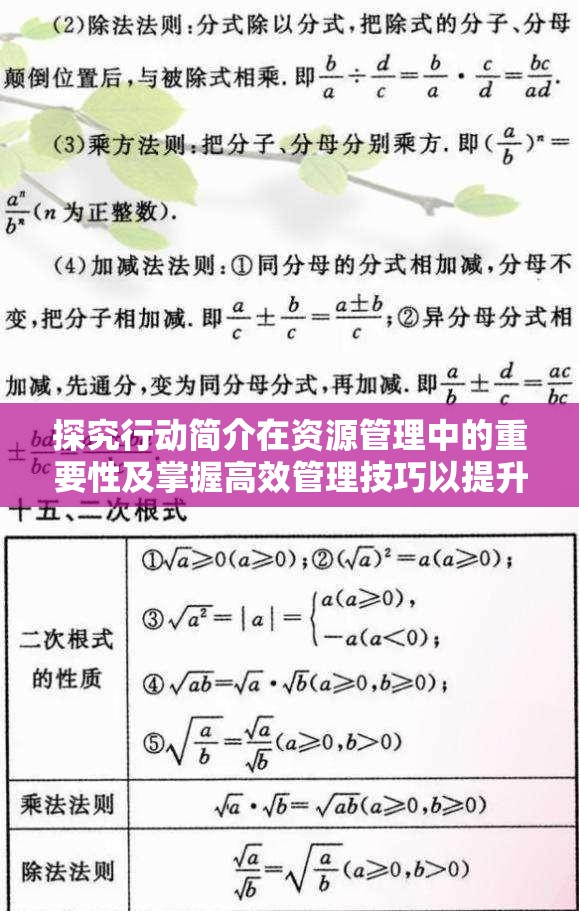 探究行動簡介在資源管理中的重要性及掌握高效管理技巧以提升行動樂趣