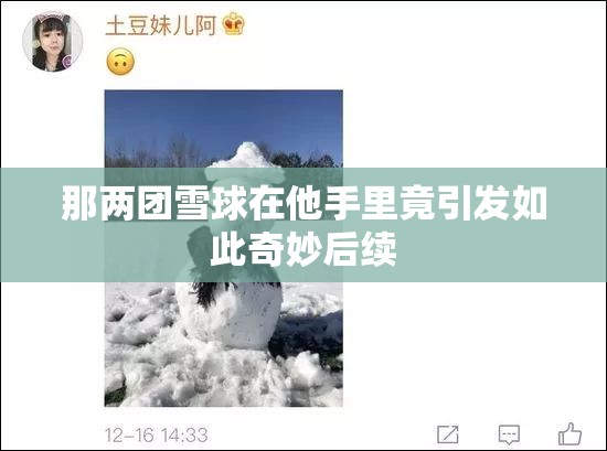 那兩團雪球在他手里竟引發(fā)如此奇妙后續(xù)