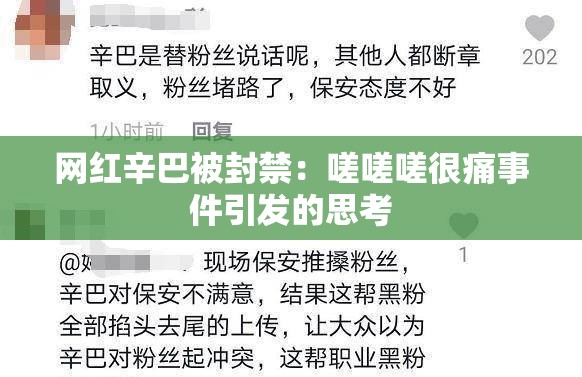 網(wǎng)紅辛巴被封禁：嗟嗟嗟很痛事件引發(fā)的思考