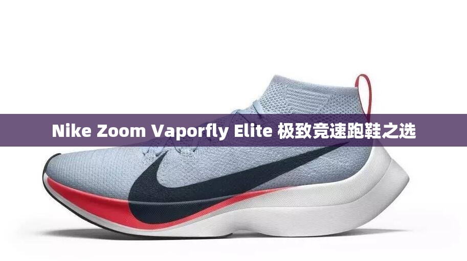 Nike Zoom Vaporfly Elite 極致競速跑鞋之選