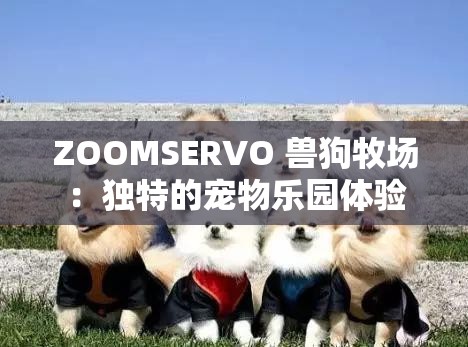 ZOOMSERVO 獸狗牧場：獨(dú)特的寵物樂園體驗(yàn)