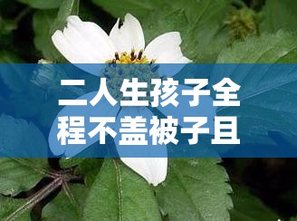 二人生孩子全程不蓋被子且出現(xiàn)異常黃色現(xiàn)象