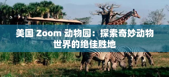 美國(guó) Zoom 動(dòng)物園：探索奇妙動(dòng)物世界的絕佳勝地