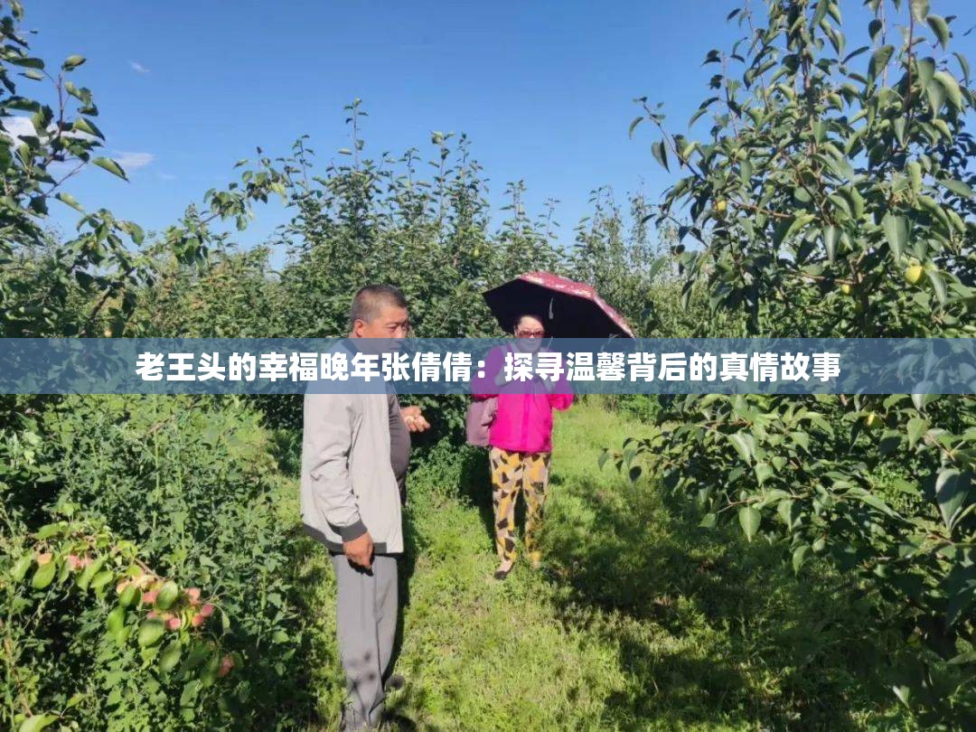 老王頭的幸福晚年張倩倩：探尋溫馨背后的真情故事