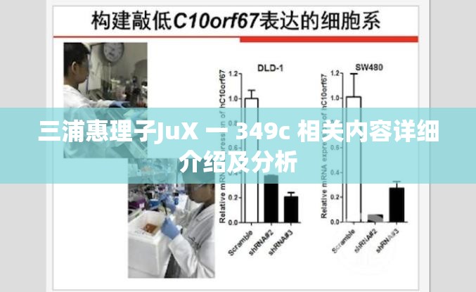 三浦惠理子JuX 一 349c 相關(guān)內(nèi)容詳細(xì)介紹及分析