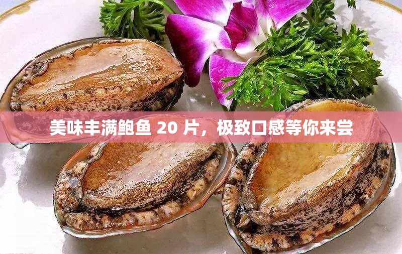 美味豐滿鮑魚 20 片，極致口感等你來嘗