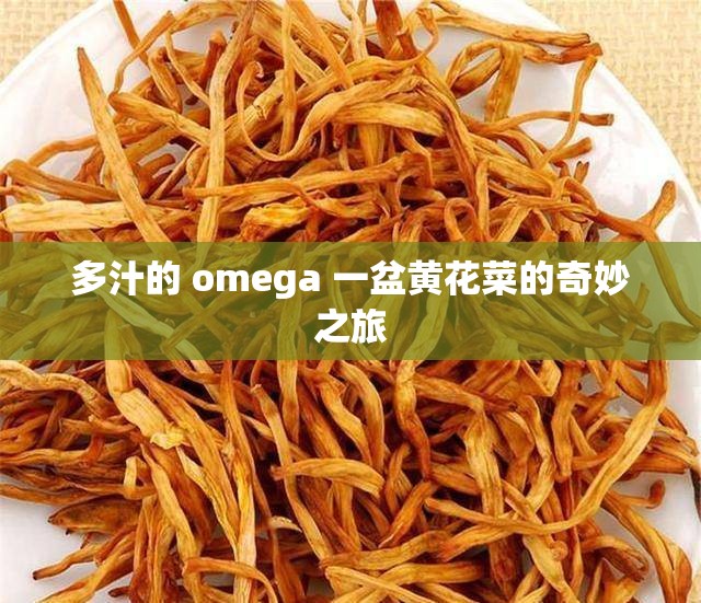 多汁的 omega 一盆黃花菜的奇妙之旅