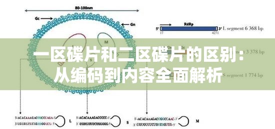 一區(qū)碟片和二區(qū)碟片的區(qū)別：從編碼到內(nèi)容全面解析