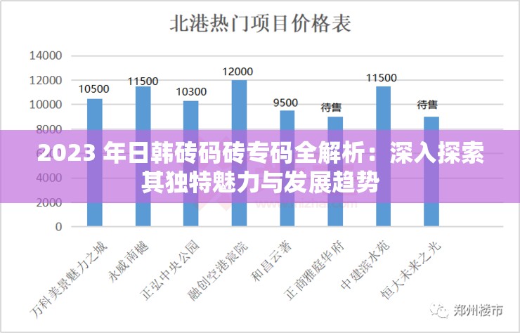 2023 年日韓磚碼磚專碼全解析：深入探索其獨(dú)特魅力與發(fā)展趨勢(shì)