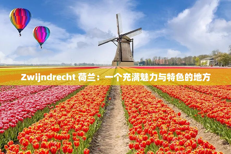 Zwijndrecht 荷蘭：一個(gè)充滿魅力與特色的地方