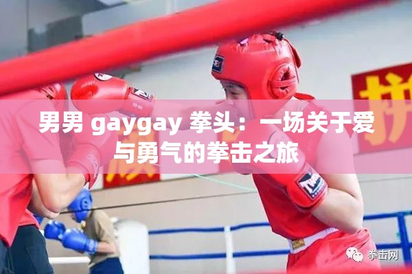 男男 gaygay 拳頭：一場關于愛與勇氣的拳擊之旅