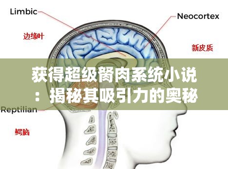 獲得超級胬肉系統(tǒng)小說：揭秘其吸引力的奧秘