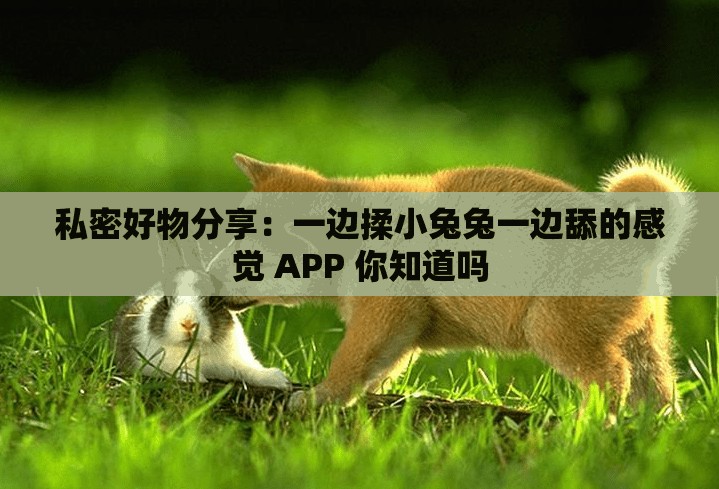 私密好物分享：一邊揉小兔兔一邊舔的感覺 APP 你知道嗎