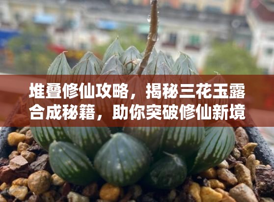 堆疊修仙攻略，揭秘三花玉露合成秘籍，助你突破修仙新境界