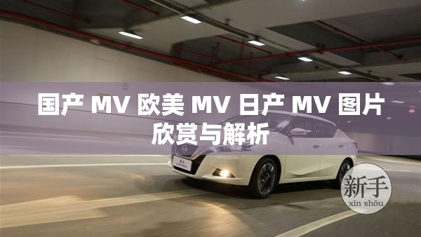 國產(chǎn) MV 歐美 MV 日產(chǎn) MV 圖片欣賞與解析