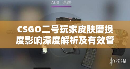 CSGO二號玩家皮膚磨損度影響深度解析及有效管理維護策略