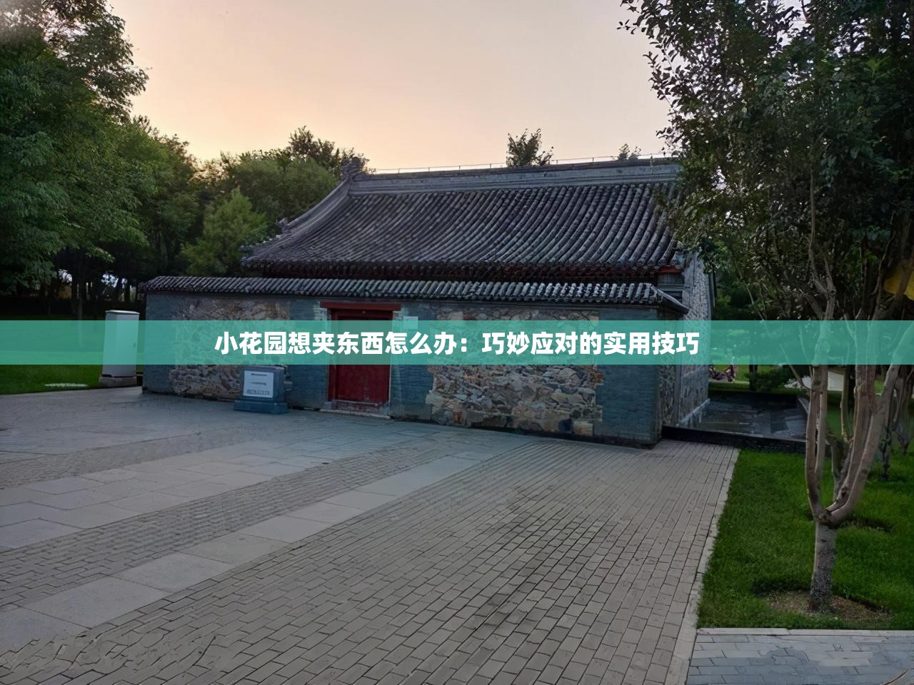 小花園想夾東西怎么辦：巧妙應對的實用技巧