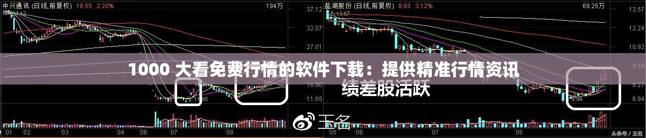 1000 大看免費行情的軟件下載：提供精準行情資訊