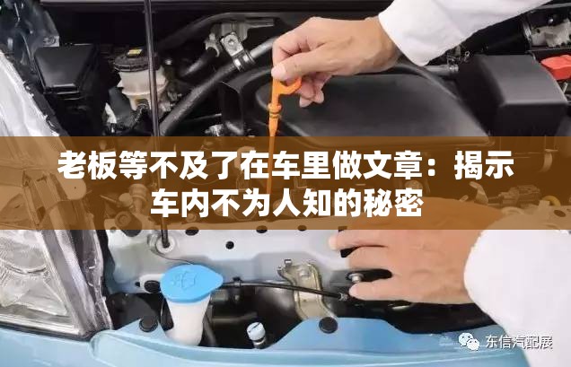 老板等不及了在車?yán)镒鑫恼拢航沂拒噧?nèi)不為人知的秘密