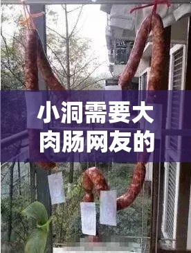 小洞需要大肉腸網(wǎng)友的奇妙探索之旅