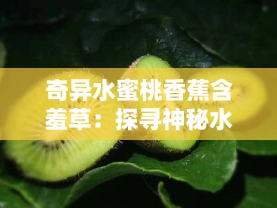 奇異水蜜桃香蕉含羞草：探尋神秘水果的奇妙世界