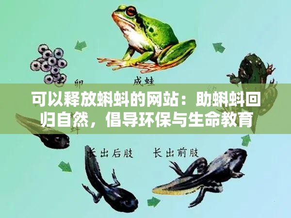 可以釋放蝌蚪的網(wǎng)站：助蝌蚪回歸自然，倡導(dǎo)環(huán)保與生命教育