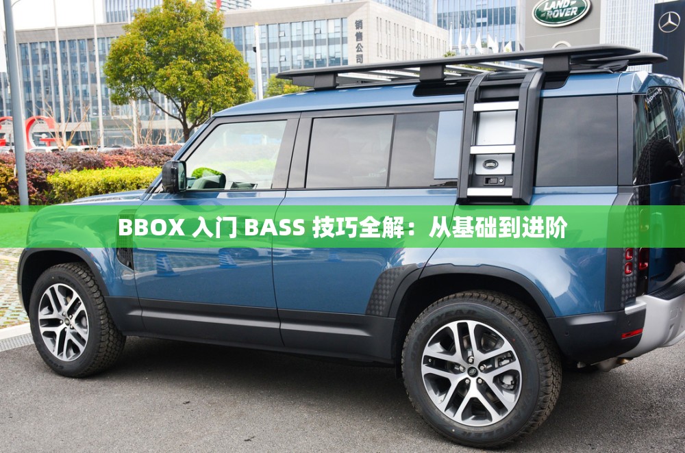 BBOX 入門 BASS 技巧全解：從基礎到進階