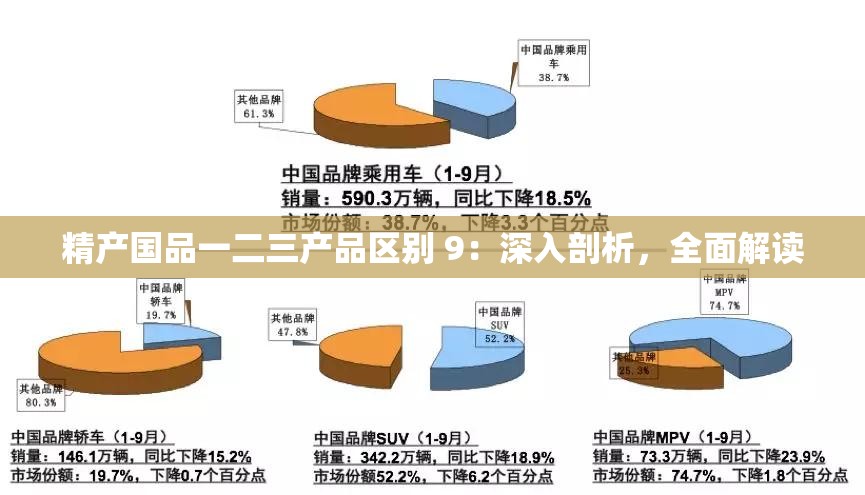 精產國品一二三產品區(qū)別 9：深入剖析，全面解讀