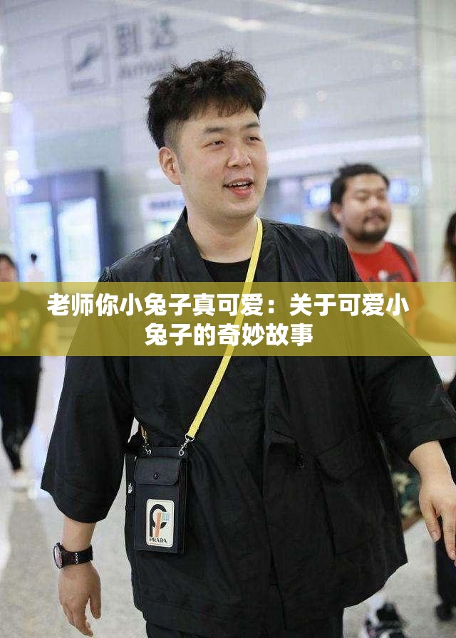 老師你小兔子真可愛：關于可愛小兔子的奇妙故事