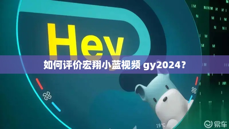 如何評價宏翔小藍(lán)視頻 gy2024？