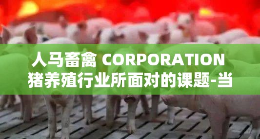 人馬畜禽 CORPORATION 豬養(yǎng)殖行業(yè)所面對(duì)的課題-當(dāng)前困境與未來發(fā)展之路探討