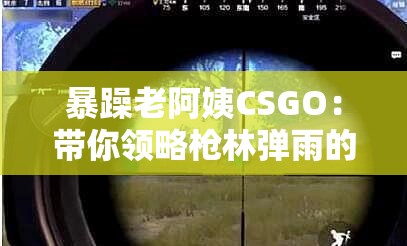 暴躁老阿姨CSGO：帶你領(lǐng)略槍林彈雨的刺激戰(zhàn)場(chǎng)