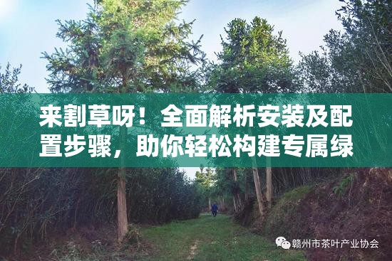 來(lái)割草呀！全面解析安裝及配置步驟，助你輕松構(gòu)建專屬綠色樂(lè)園