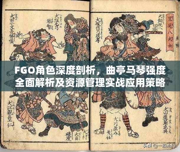 FGO角色深度剖析，曲亭馬琴強(qiáng)度全面解析及資源管理實(shí)戰(zhàn)應(yīng)用策略