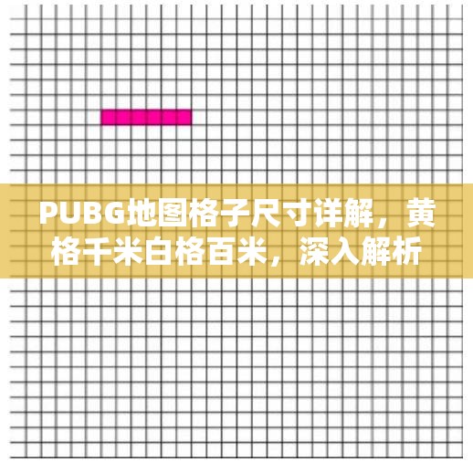 PUBG地圖格子尺寸詳解，黃格千米白格百米，深入解析地圖構(gòu)成