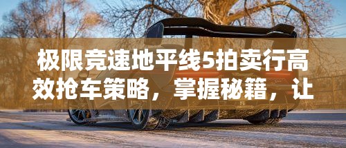 極限競速地平線5拍賣行高效搶車策略，掌握秘籍，讓夢想座駕輕松收入囊中