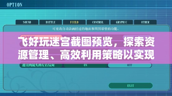 飛好玩迷宮截圖預(yù)覽，探索資源管理、高效利用策略以實(shí)現(xiàn)價(jià)值最大化