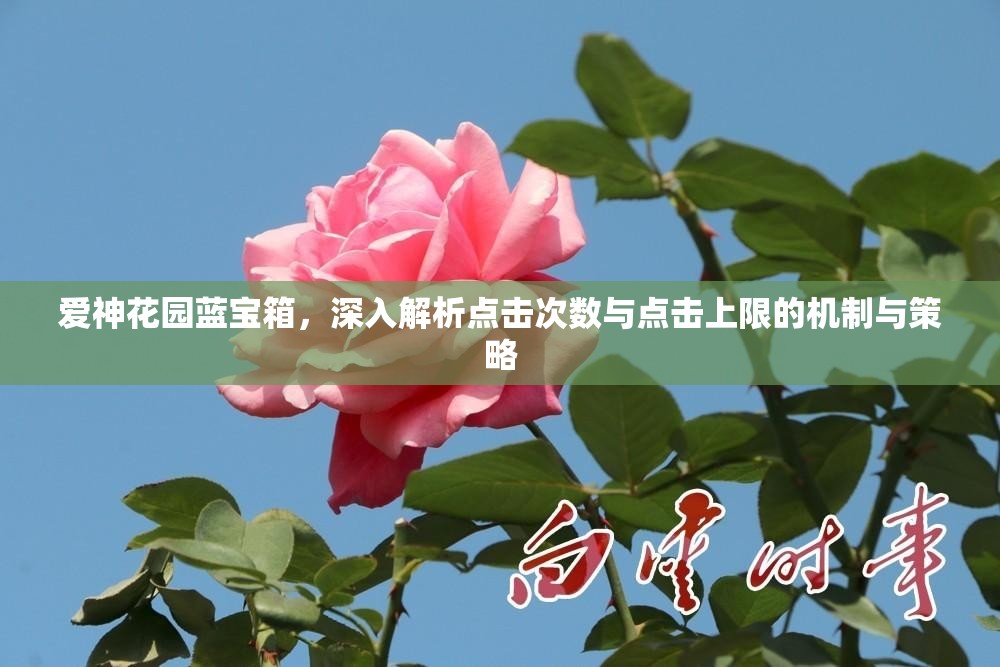 愛神花園藍(lán)寶箱，深入解析點(diǎn)擊次數(shù)與點(diǎn)擊上限的機(jī)制與策略