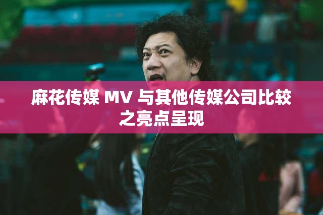 麻花傳媒 MV 與其他傳媒公司比較之亮點呈現(xiàn)