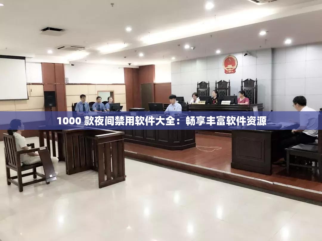 1000 款夜間禁用軟件大全：暢享豐富軟件資源