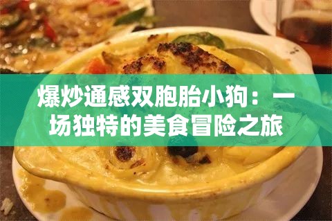 爆炒通感雙胞胎小狗：一場(chǎng)獨(dú)特的美食冒險(xiǎn)之旅