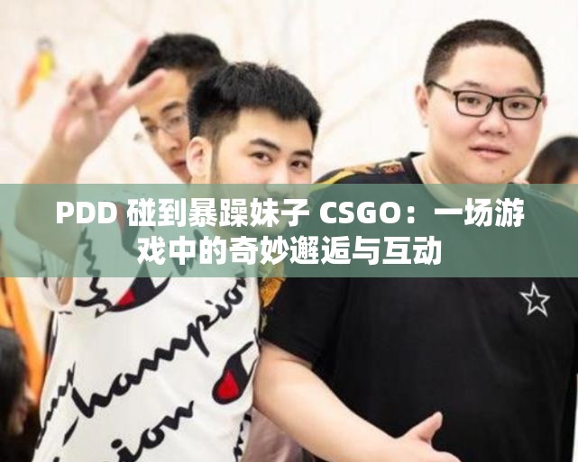 PDD 碰到暴躁妹子 CSGO：一場游戲中的奇妙邂逅與互動