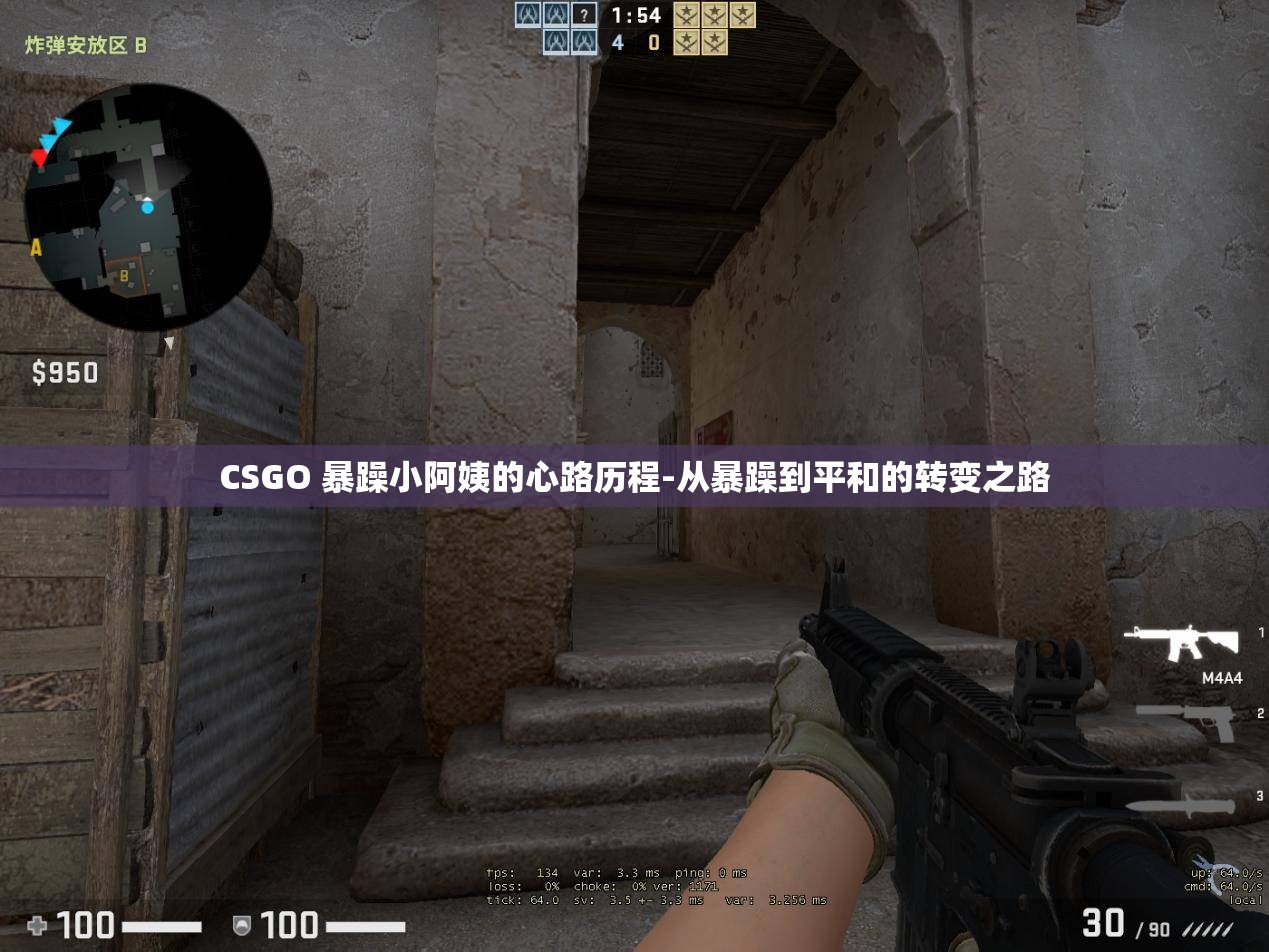 CSGO 暴躁小阿姨的心路歷程-從暴躁到平和的轉(zhuǎn)變之路