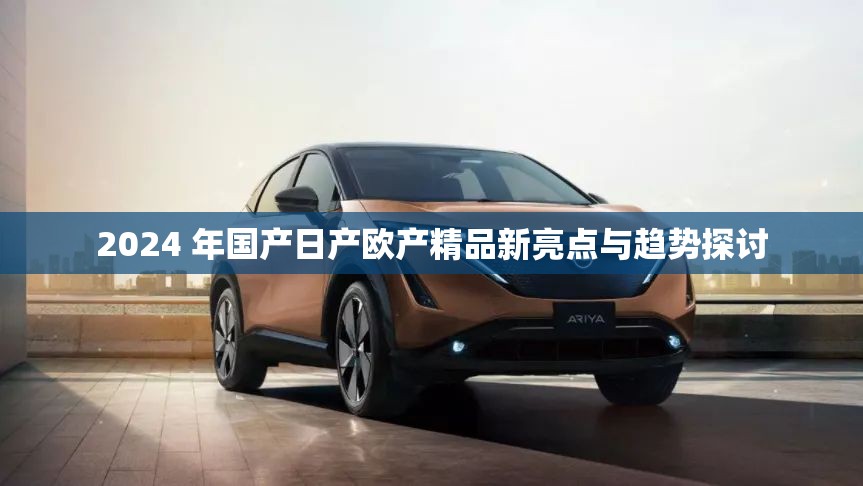 2024 年國產(chǎn)日產(chǎn)歐產(chǎn)精品新亮點與趨勢探討